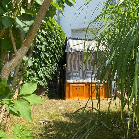 Ferienapartment Casa Heideblick Mit Sonnenterrasse & Garten Radeberg Exteriör bild