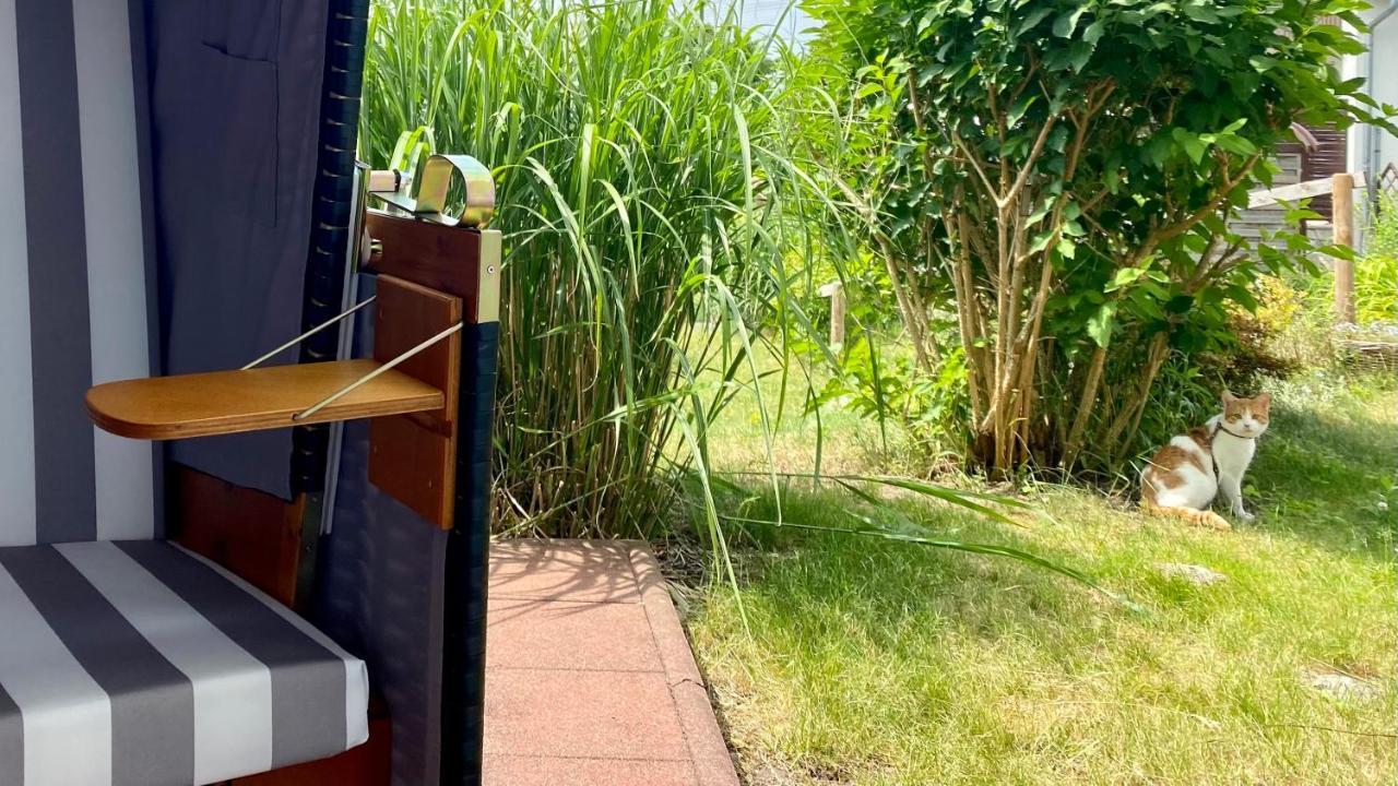 Ferienapartment Casa Heideblick Mit Sonnenterrasse & Garten Radeberg Exteriör bild