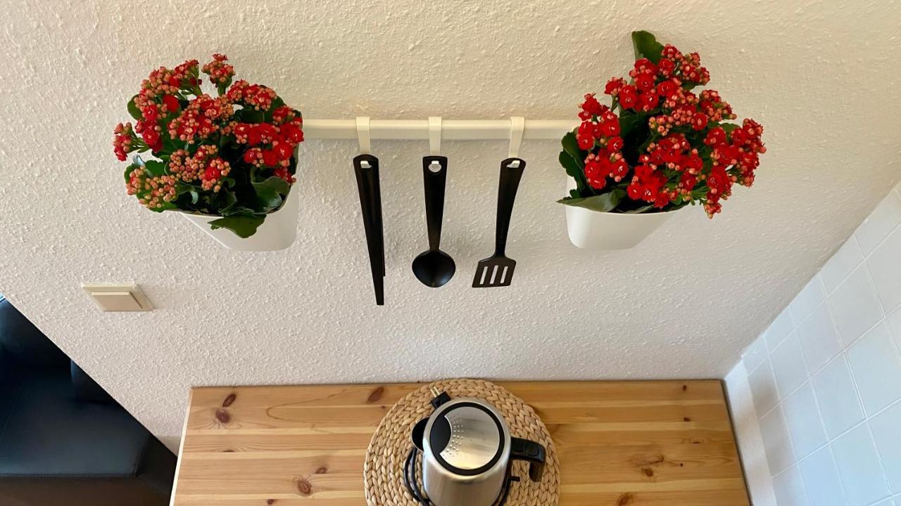 Ferienapartment Casa Heideblick Mit Sonnenterrasse & Garten Radeberg Exteriör bild