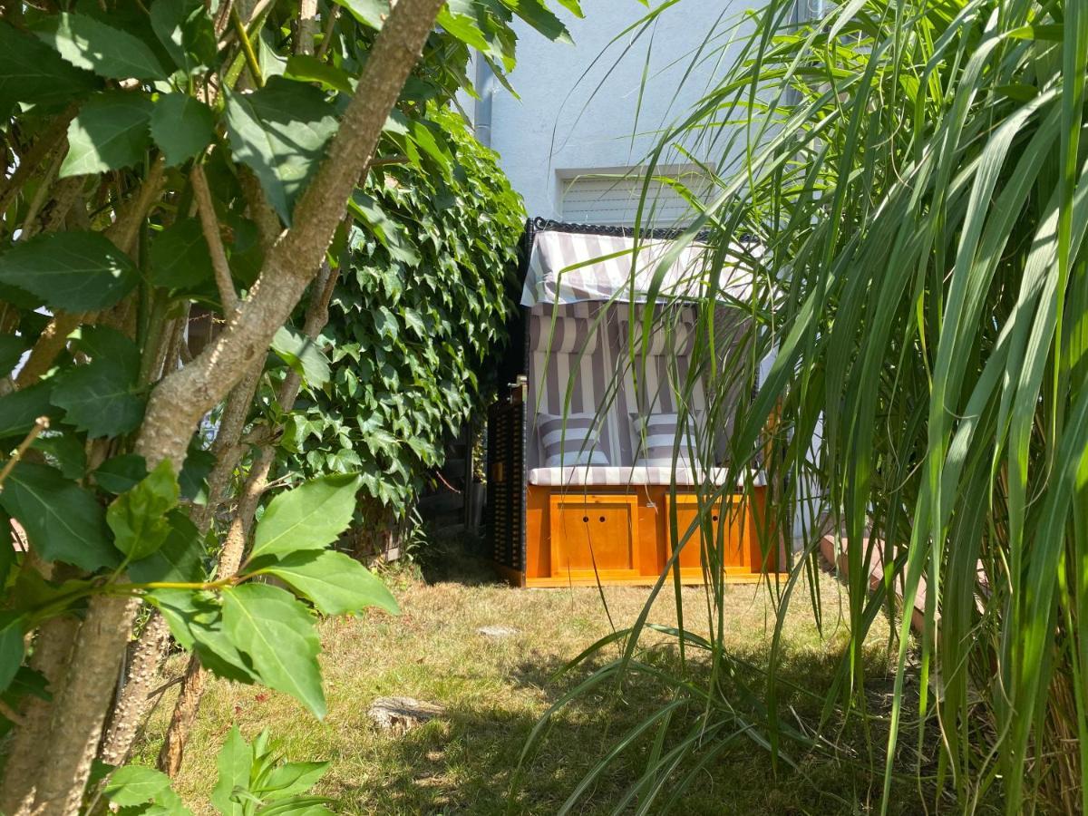 Ferienapartment Casa Heideblick Mit Sonnenterrasse & Garten Radeberg Exteriör bild